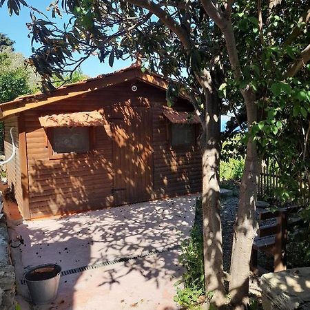 Apikia  Casa Di Patouria , Stenies Andros מראה חיצוני תמונה