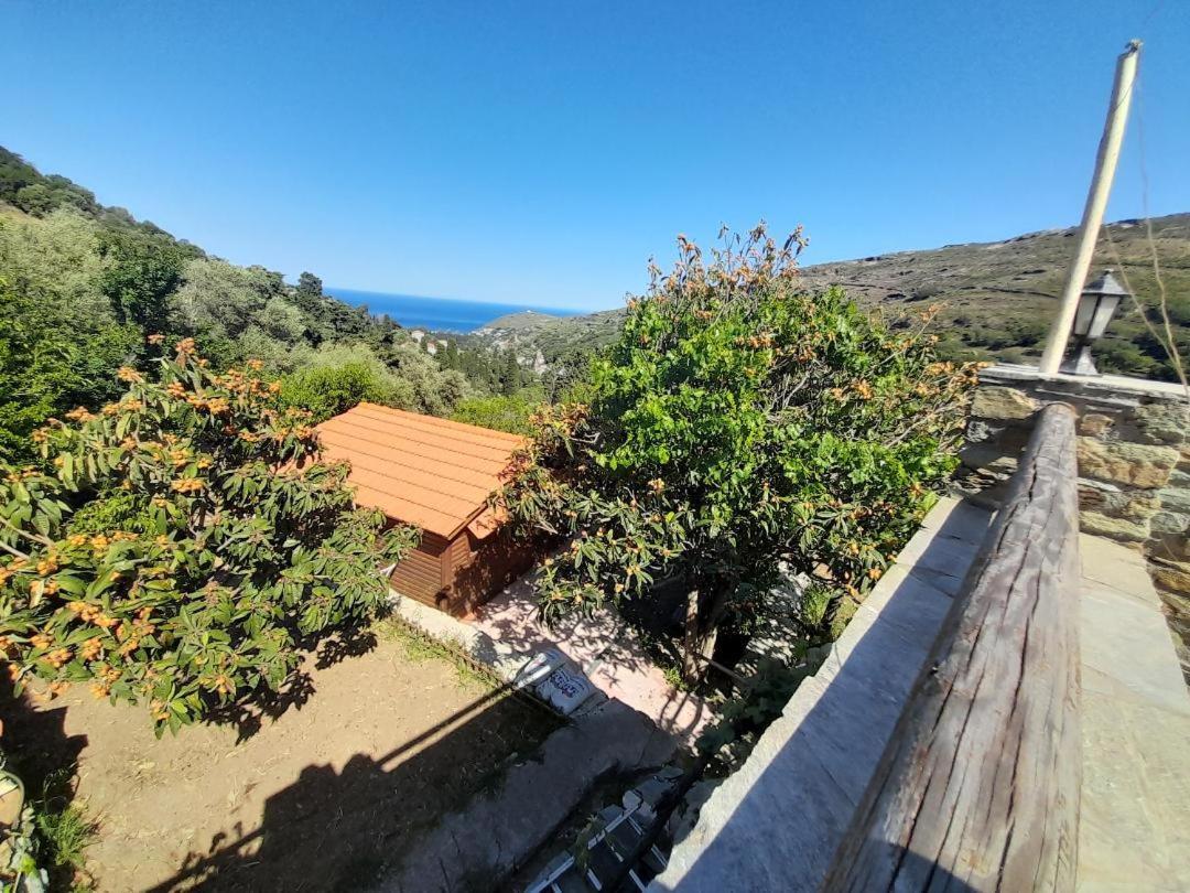 Apikia  Casa Di Patouria , Stenies Andros מראה חיצוני תמונה