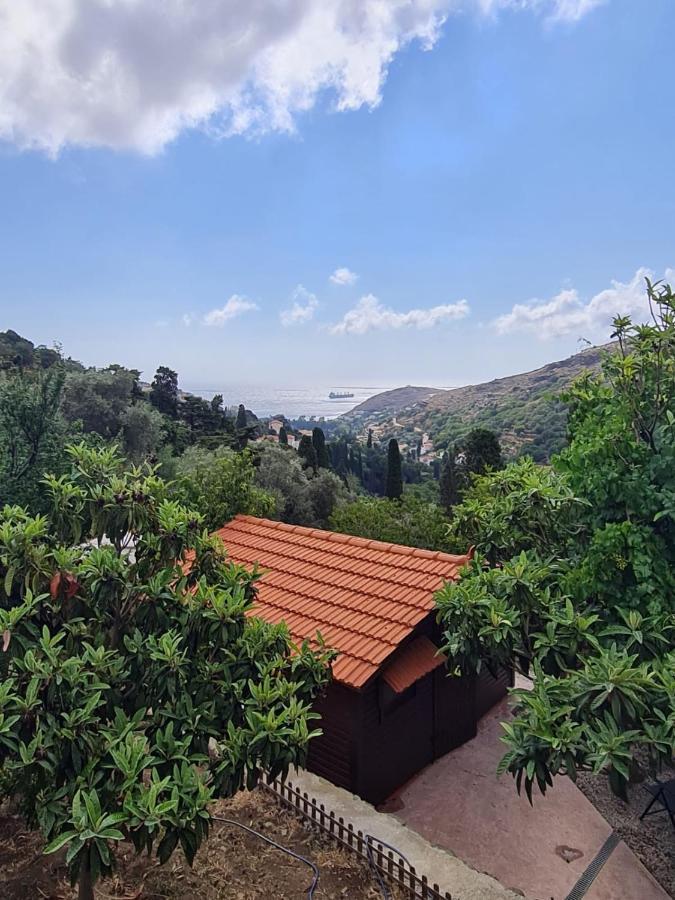 Apikia  Casa Di Patouria , Stenies Andros מראה חיצוני תמונה